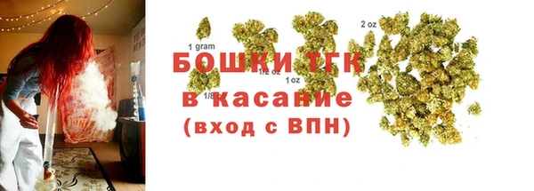 PSILOCYBIN Горно-Алтайск