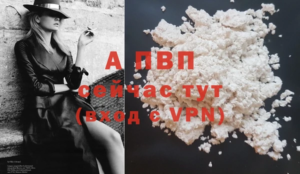PSILOCYBIN Горно-Алтайск