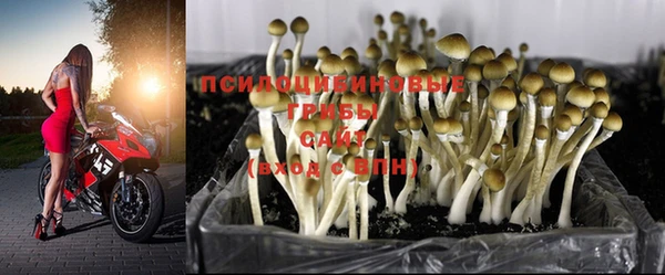 MDMA Майский