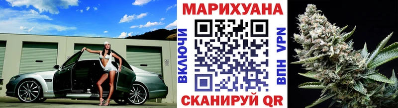 Бошки марихуана семена  как найти закладки  Нерюнгри 